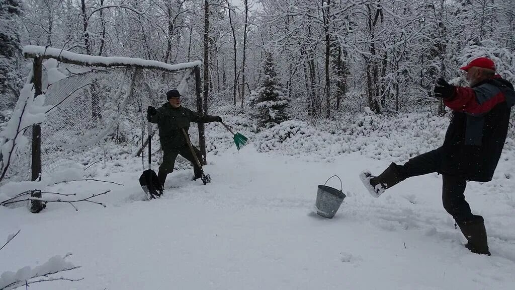 Остров партизанский мурманская. Остров партизанский верхнетуломское водохранилище. Мыс черный мурманская область. Остров партизанском. Остров партизанский мурманская.