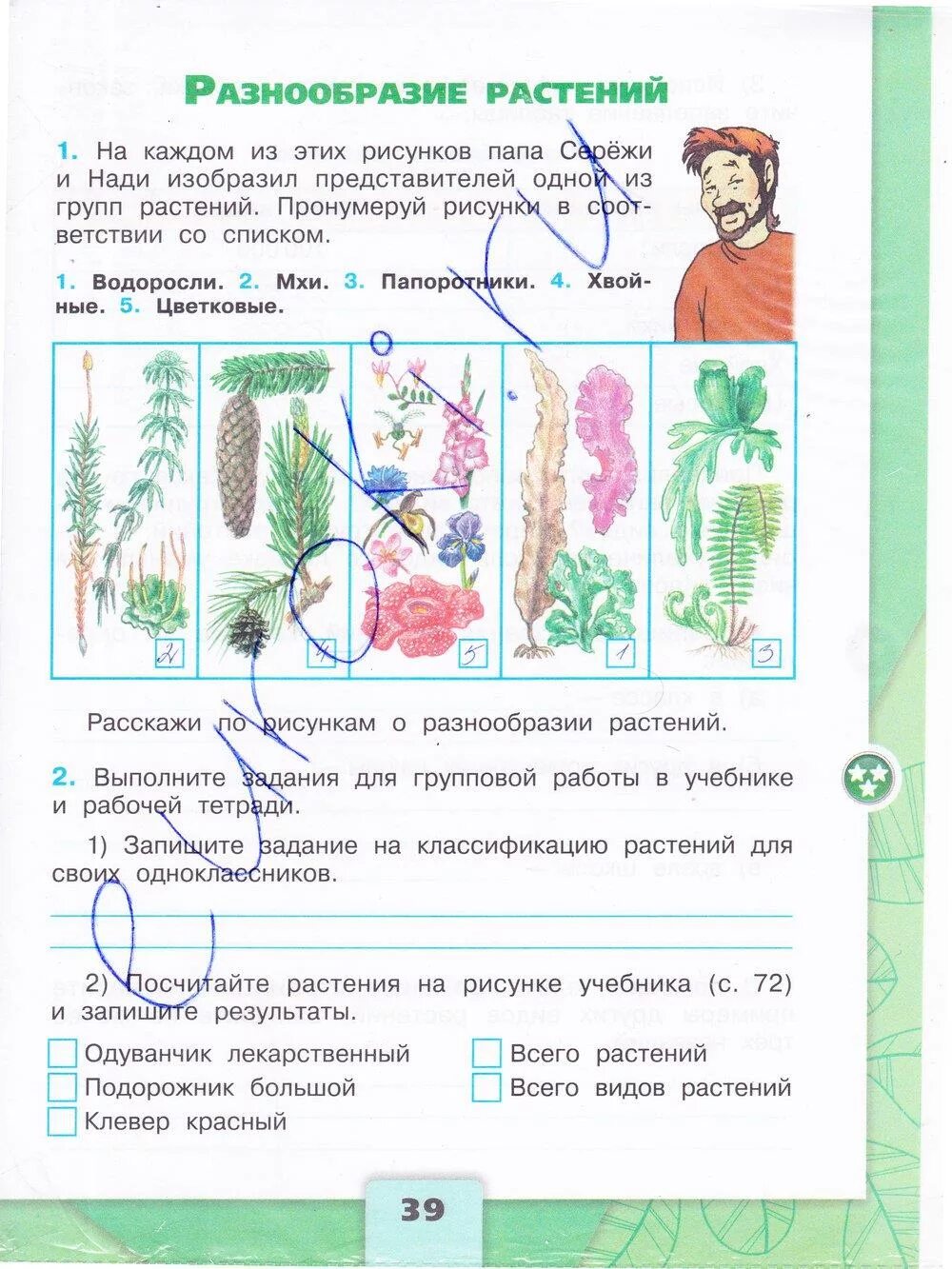 Окружающий мир стр 41 42. Плешаков окруж мир тетрадь 3 класс. Мир растений 3 класс окружающий мир рабочая тетрадь ответы Плешаков. Окружающий мир 3 класс рабочая тетрадь 1 часть Плешаков стр 39-40. Гдз по окружающему миру 3 класс 1 часть рабочая тетрадь страница 39.