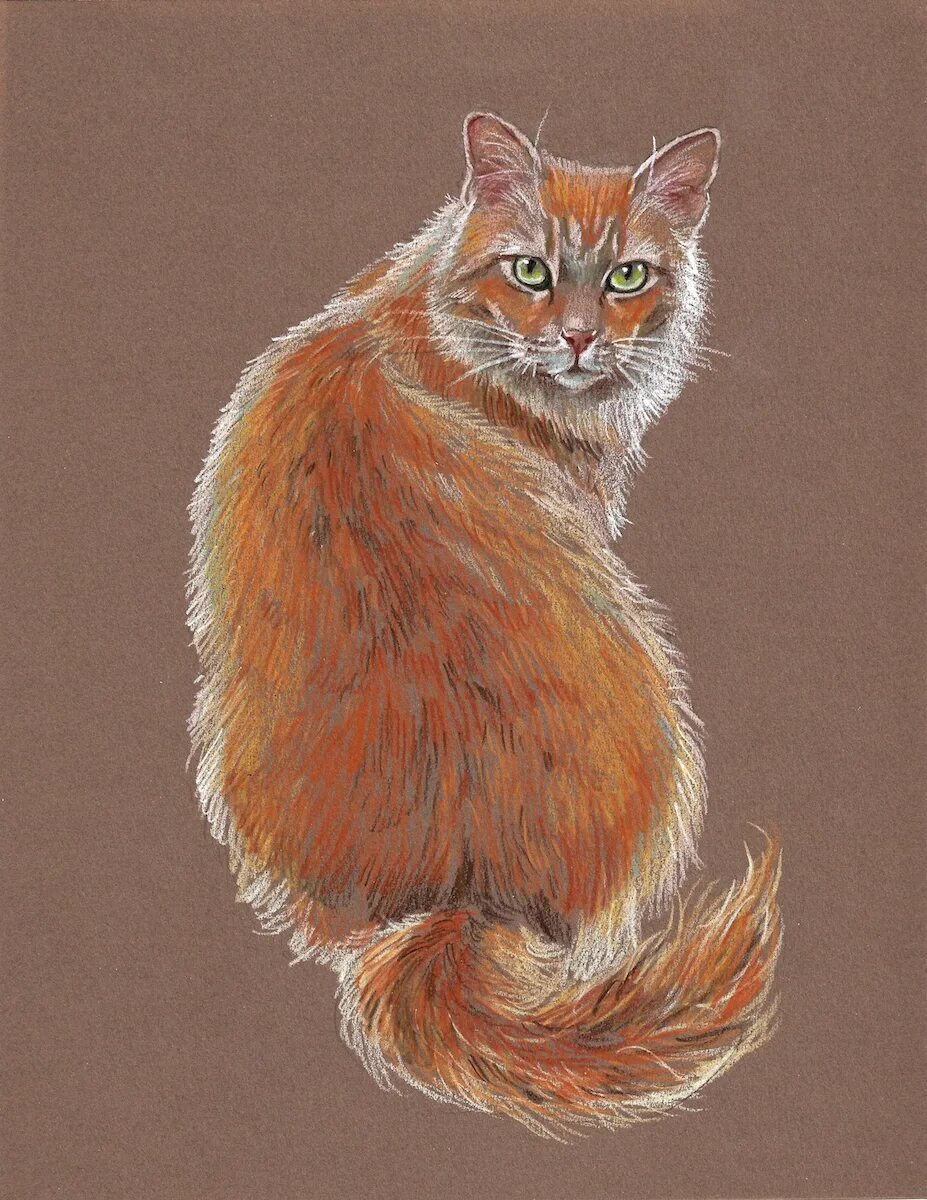 Кошка пастелью. Рисунки животных пастелью. Карандаши цветные "животные". Кошка цветными карандашами. Кот рисунок цветной