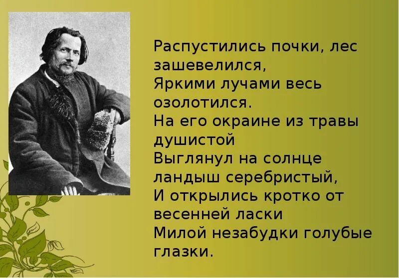 Дрожжин зимний день презентация 3 класс. Дрожжин стихи. Дрожжин Весеннее царство. Распустились почки лес зашевелился. Стихотворение Дрожжина.