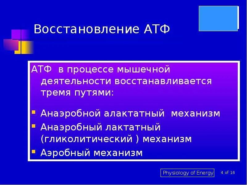 Атф восстанавливается. Аэробный лактатный алактатный. Восстановление АТФ. Лактатный механизм и алактатный. Алактатный анаэробный механизм.