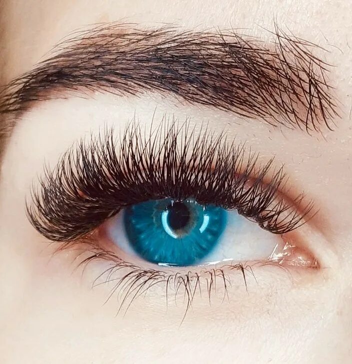 ресницы 2д классика 1д. натуральный эффект наращивания 3д. наращивание ресниц 3д эффект кукольный голливуд. ресницы 2д классика кукольный эффект. наращивание ресниц натуральный эффект.