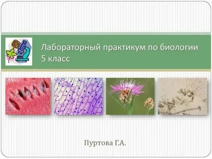 Что такое закон биология 5 класс кратко