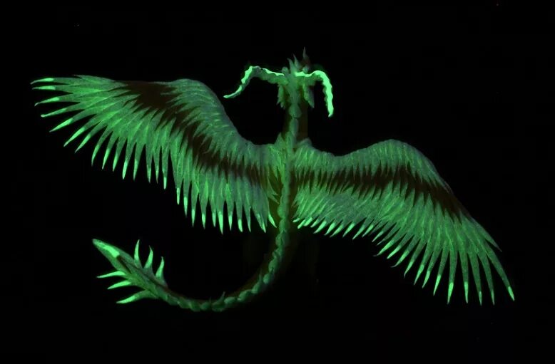 как сделать светящегося дракона