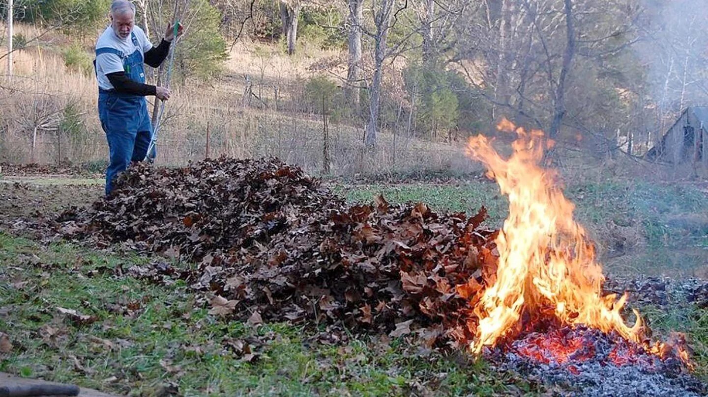 Сжигание листвы. Сожженный лист. Сжигание сухой травы на дачном участке. Можно ли сжигать ветки на своем участке