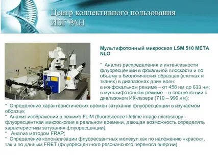 Цель микроскопического метода