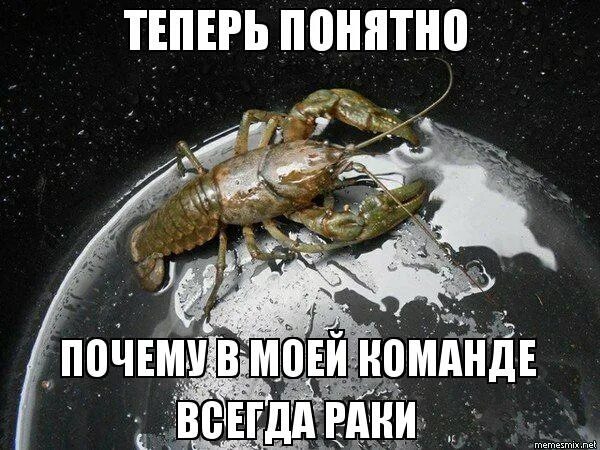 Теперь все понятно. Стикер все понятно. Рафик прикол. Мемы теперь понятно. Теперь ясно.