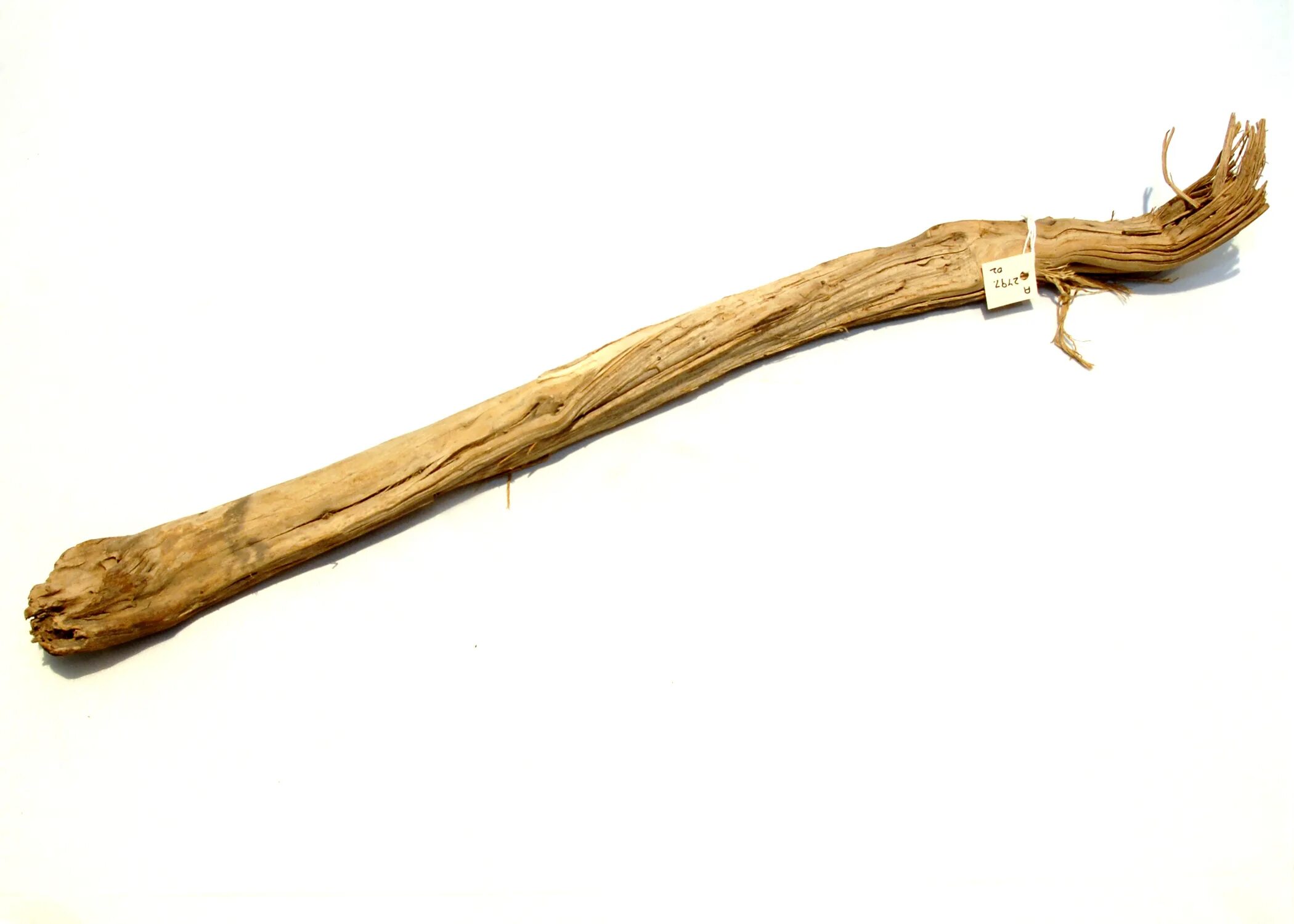 Палка деревянная. Старая деревянная палка. Палка деревянная от дерева. Ребенок с палкой. A wooden stick