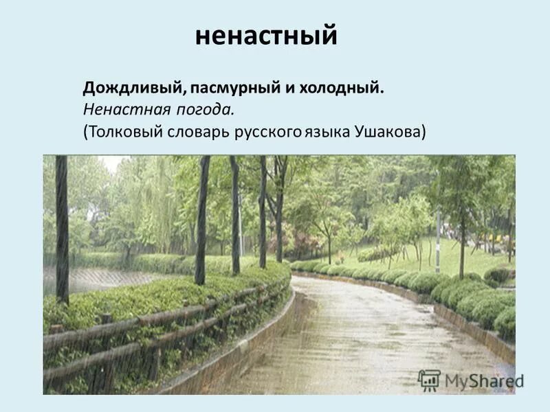 стоит ненастная погода 5 класс русский язык