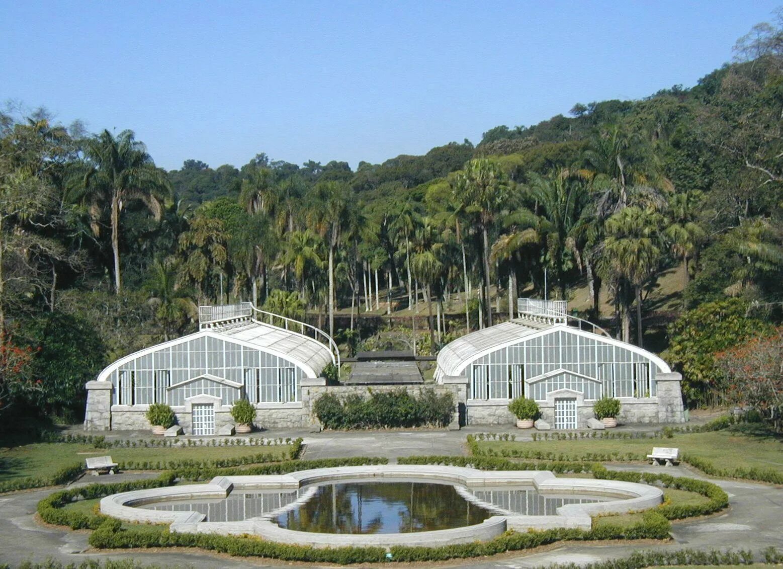 Какое дерево в сан пауле. Jardin Botanico (San Juan) университет. Ботанический сад Бразилии. Растительность Сан Паулу. Цветочный ручей в Ботаническом саду в Сан-Паулу.