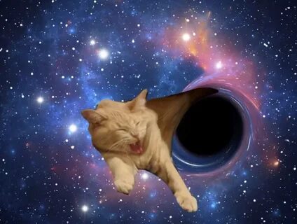 Cat hole
