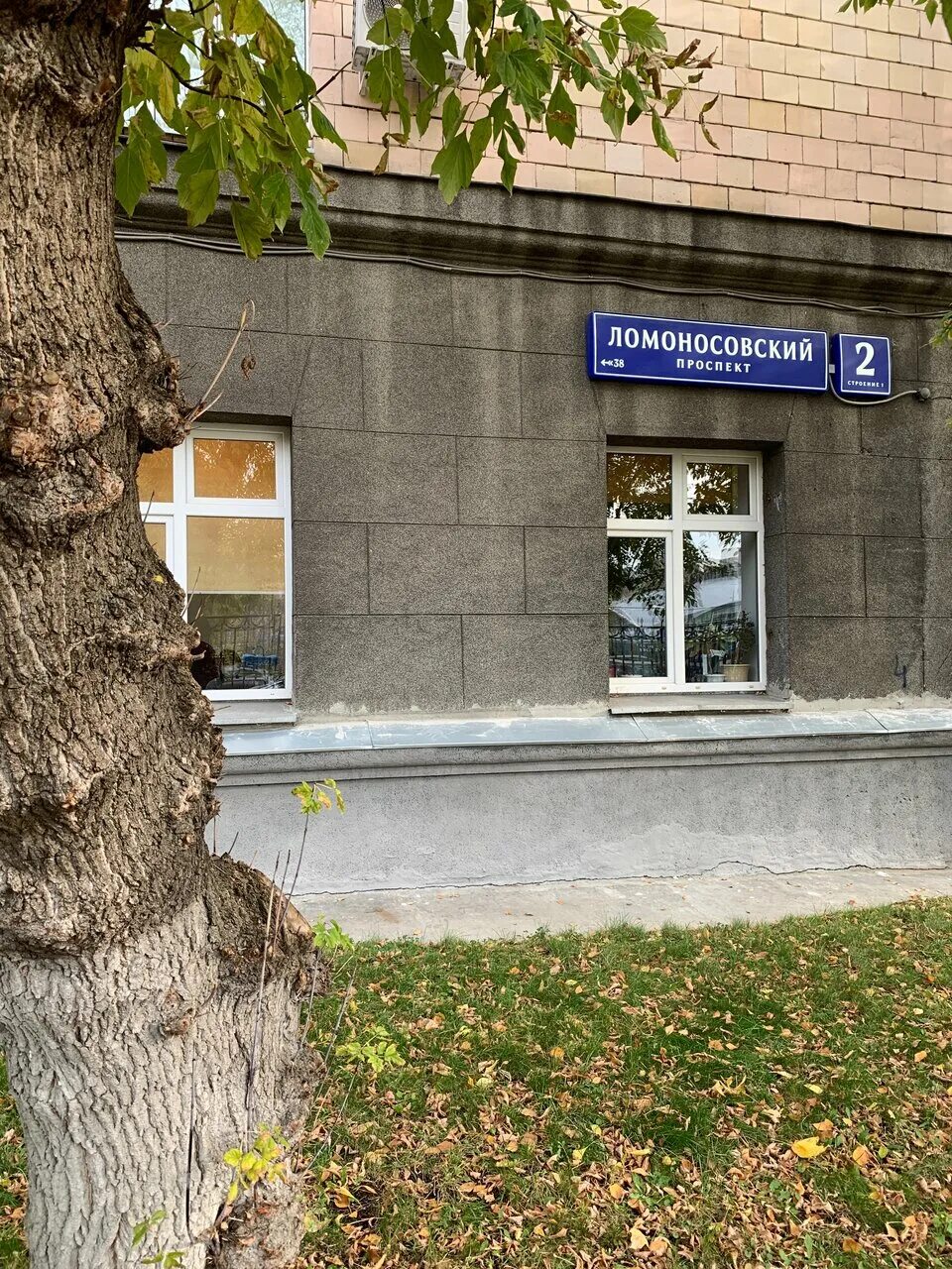 Национальный центр здоровья детей ломоносовский. Ломоносовский проспект 2 центр здоровья детей. нцзд ломоносовский проспект. москва ломоносовский проспект 2. центр детского здоровья на ломоносовском проспекте.