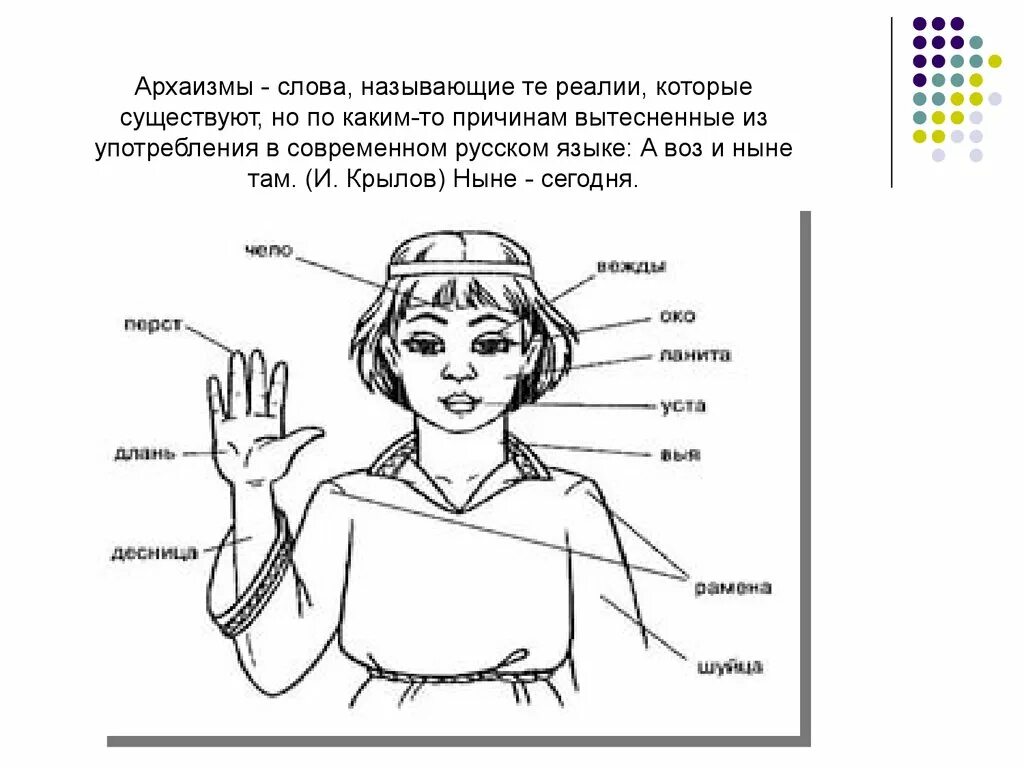 Какие слова архаизм. Архаизмы. Архаизмы рисунок. Историзмы и архаизмы. Слова архаизмы.