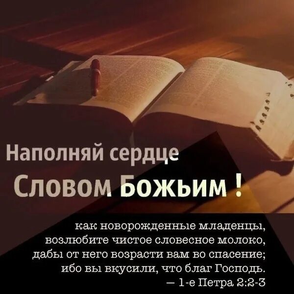 Наполняй сердце словом Божьим. Возлюбите чистое словесное молоко. Наполняйтесь словом Божьим. Доброе утро с Богом. Будь народом божьим