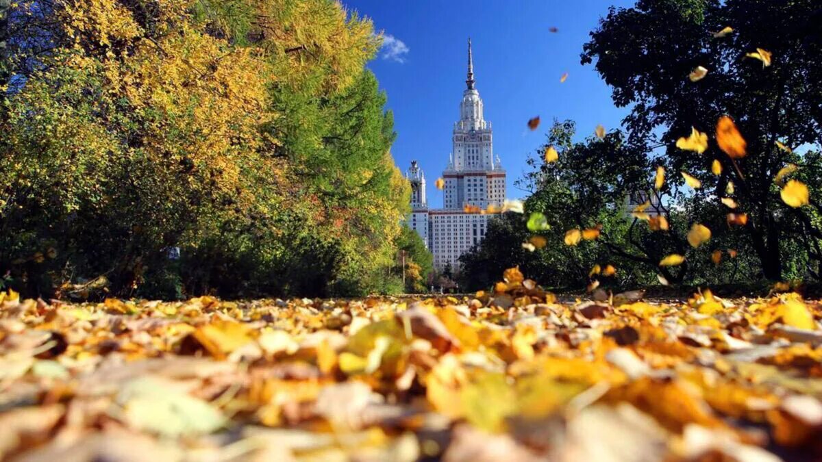 Конца сентября можно. Осень в городе. Осенний город. Осень в Москве. Солнечная осень в городе.