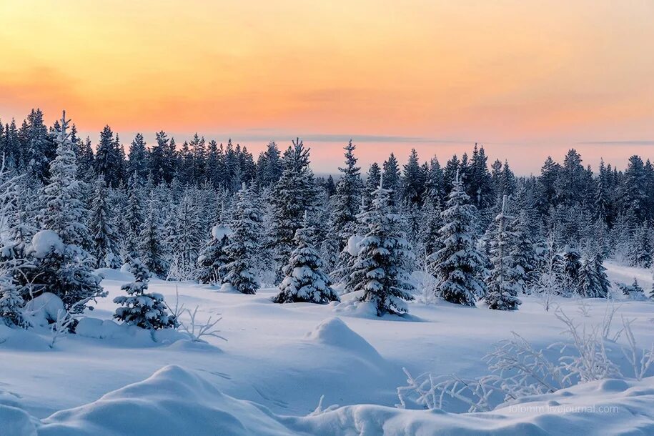 финляндия зимой. финляндия зимой. каамос лапландия. зимняя панорама. зимний лес.