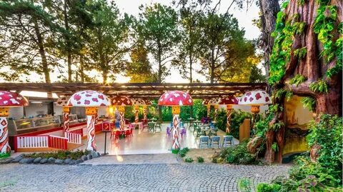 Grand yazici club отзывы