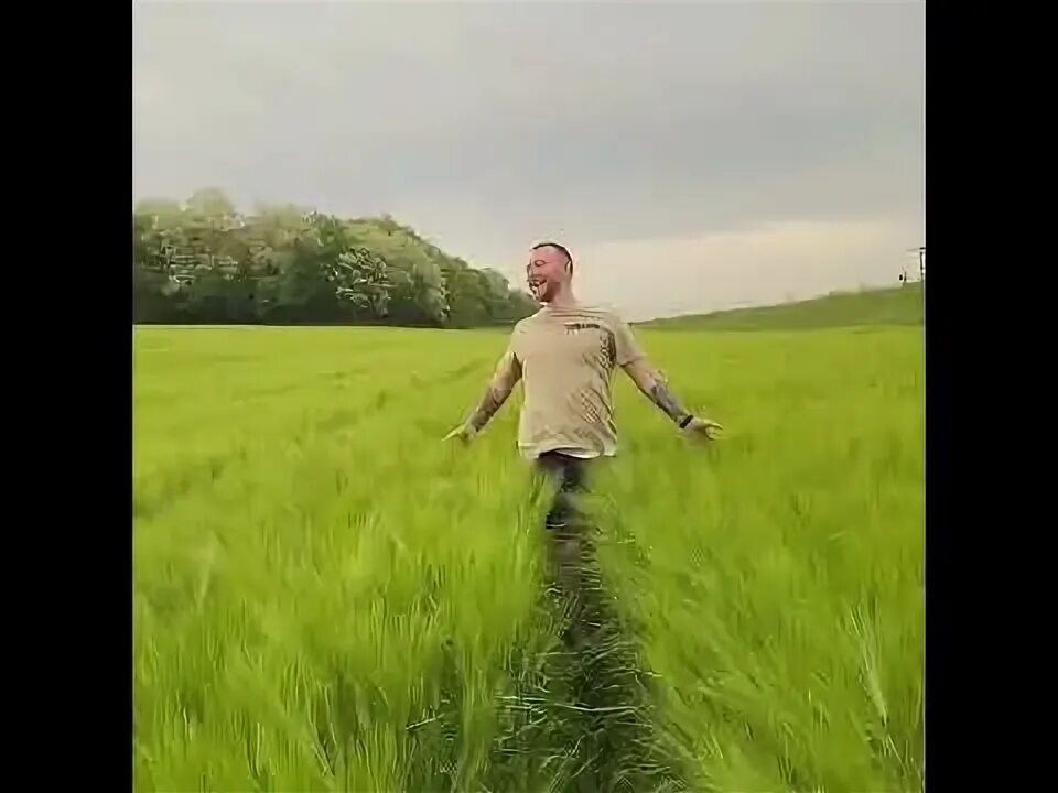 Кто поет песню по полю по полюшку. Да я по полю да полюшку. по полю да по полюшку приду к тебе. по полю за тысячу верст. успенская поле полюшко.