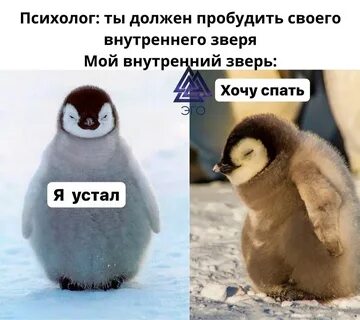 Прости я должен разбудить тебя