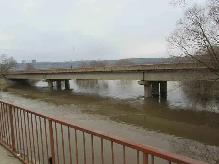 Гидропост горбатов на оке сегодня уровень воды