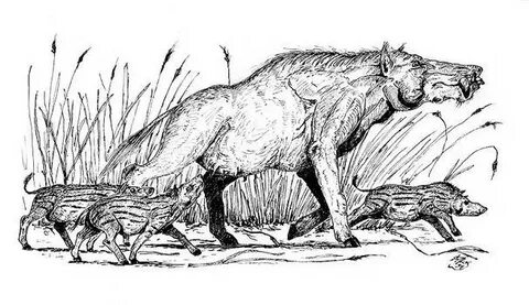 The king by scavenging