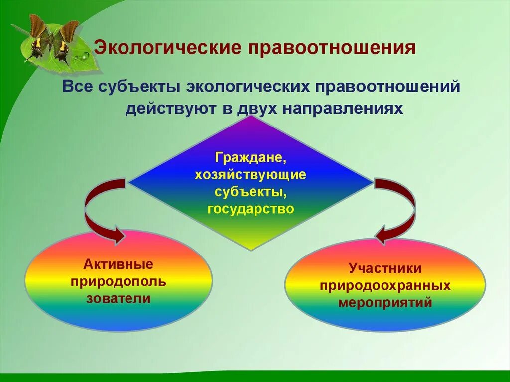 Общие экологические правоотношения. Экологические правоотношения. Субъекты экологических правоотношений. Субъекты и объекты экологических правоотношений. Участники экологических правоотношений.