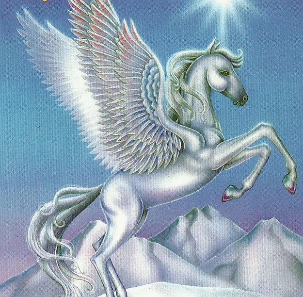 белый пегас. магазин пегас саранск. пегас 2. гуррия мифическая лошадь. лошадь с крыльями.