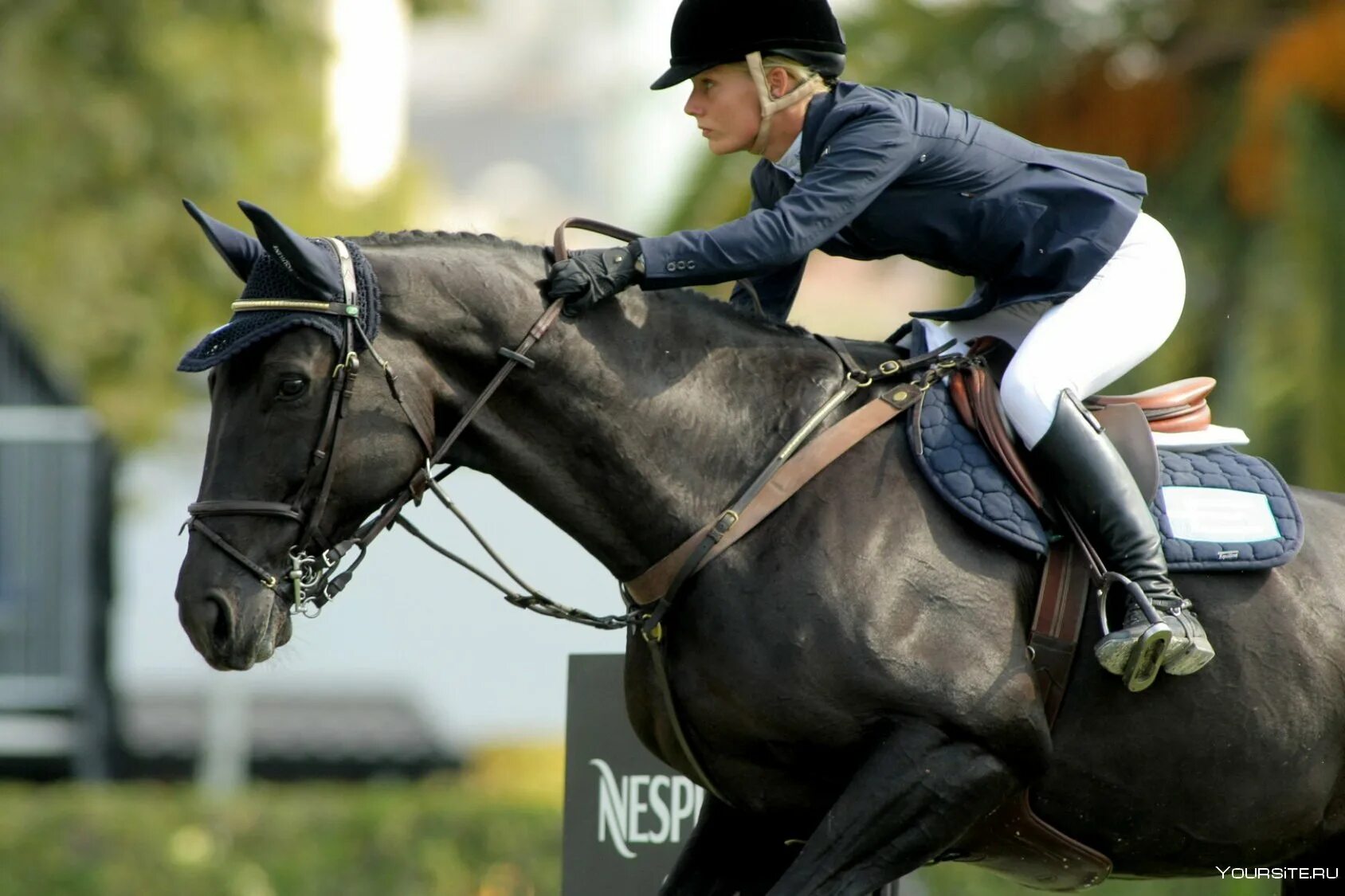 Конкур конный спорт. Пинто лошадь конкур. Конкур вднх 2022. Всадник на лошади конкур. Конный спорт эстетика.