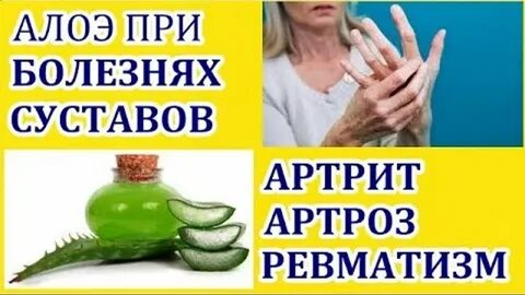 Алоэ для суставов