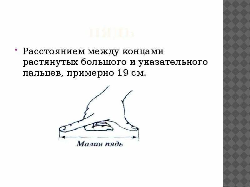 Какие плоды длиною в пядь. Пядь малая измерение. Пядь мера измерения. Пядь измерение длины. Старинные меры длины.