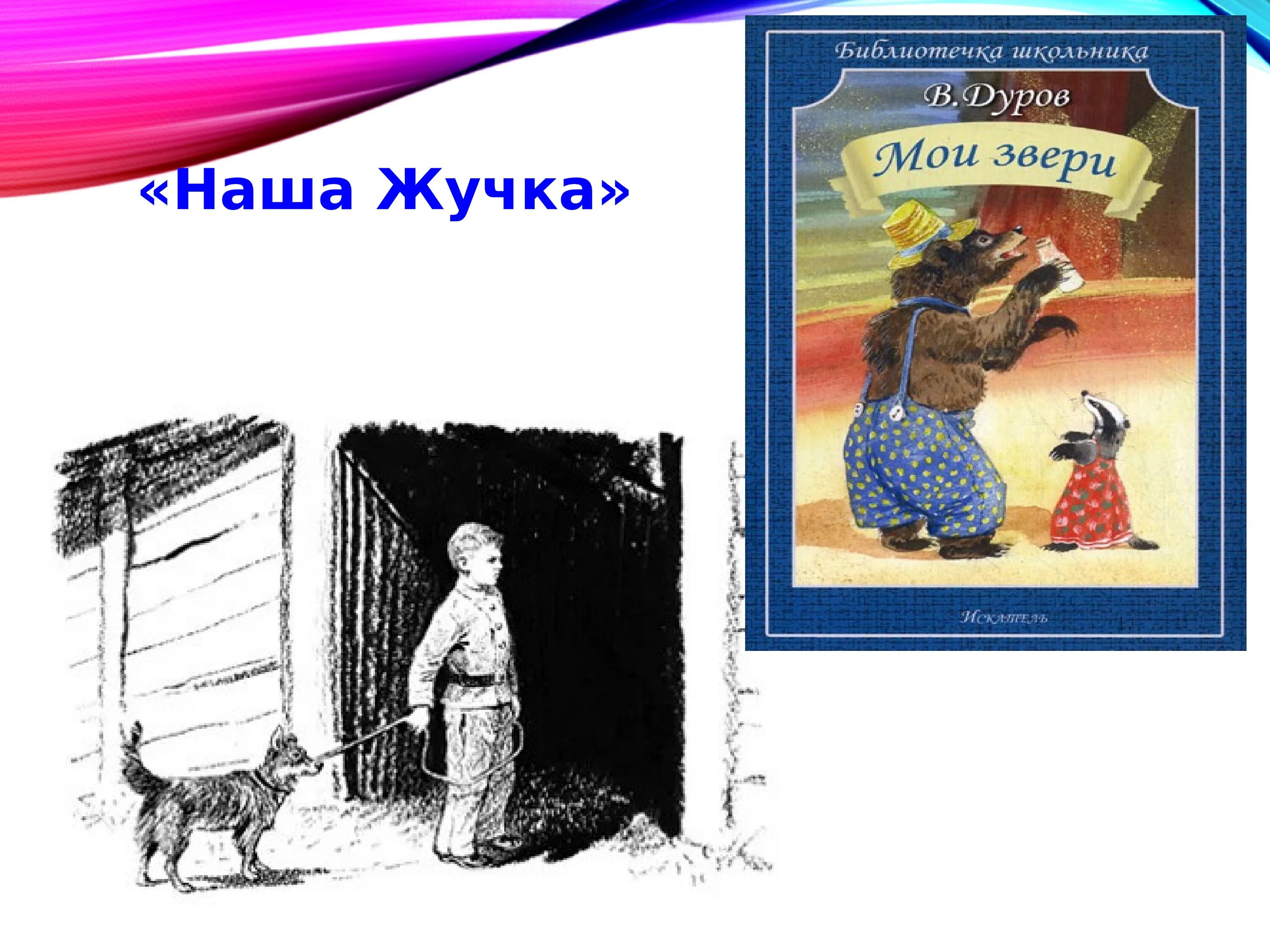 Рассказ дурова наша жучка. Рассказ наша жучка. Наша жучка рассказ Дуров.