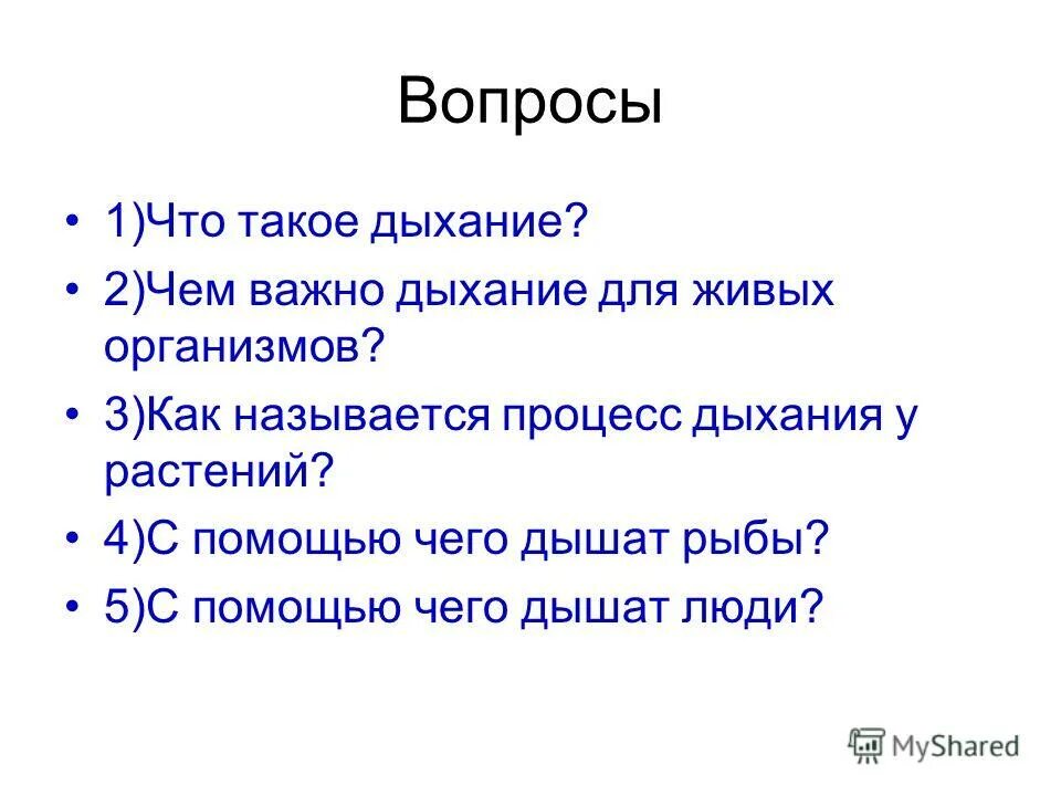 Дыхательная система птиц 7 класс. С помощью чего дышат. Вопросы по теме дыхание растения. С помощью чего дышат. Строение дыхательной системы птиц.