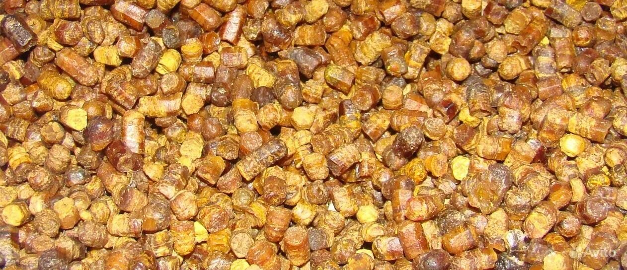 перга пчелиная, 200гр. где принимают пергу. перга этикетка. перга пчелиная полезные. пасека перга.