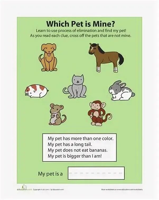 My Pet шаблон. Pets задания для детей. Портфолио my Pet. Pets Worksheets.