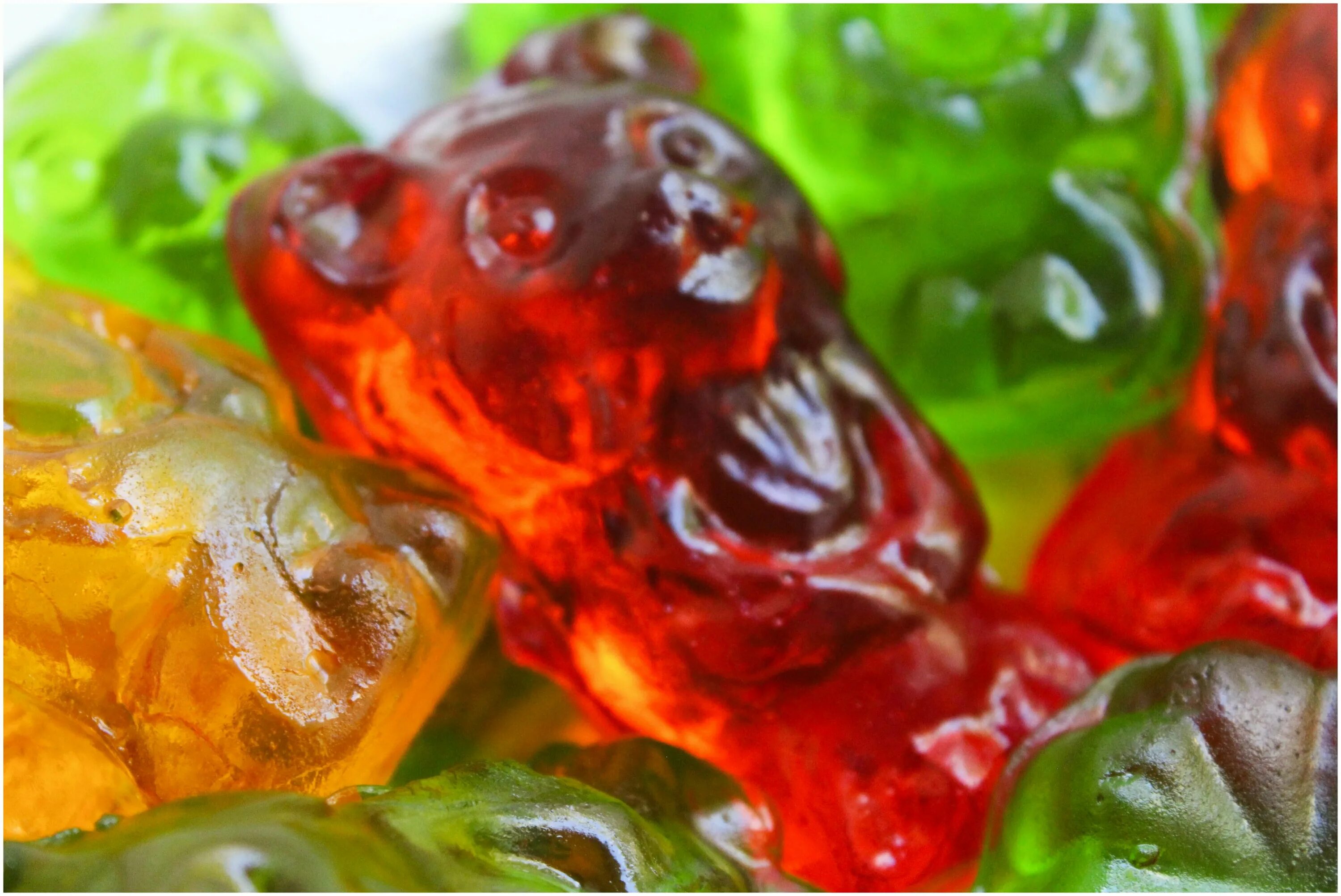 9 кг. мармеладный мишка xxl fini 0. мармелад фрутелла медвежата. жевательный мармелад мишки. мармелад.