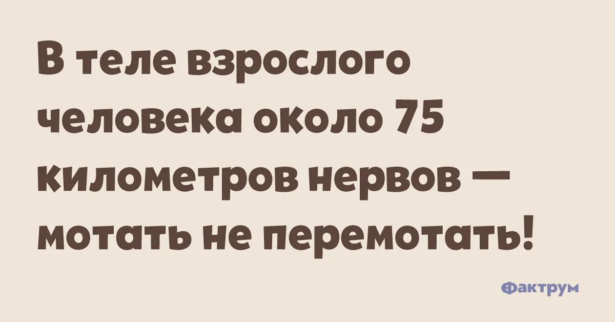 Клубок нервов юмор. Нервы юмор. В теле взрослого человека 75 километров нервов. Нервов мотать не перемотать.