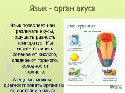 Язык это объяснить ребенку