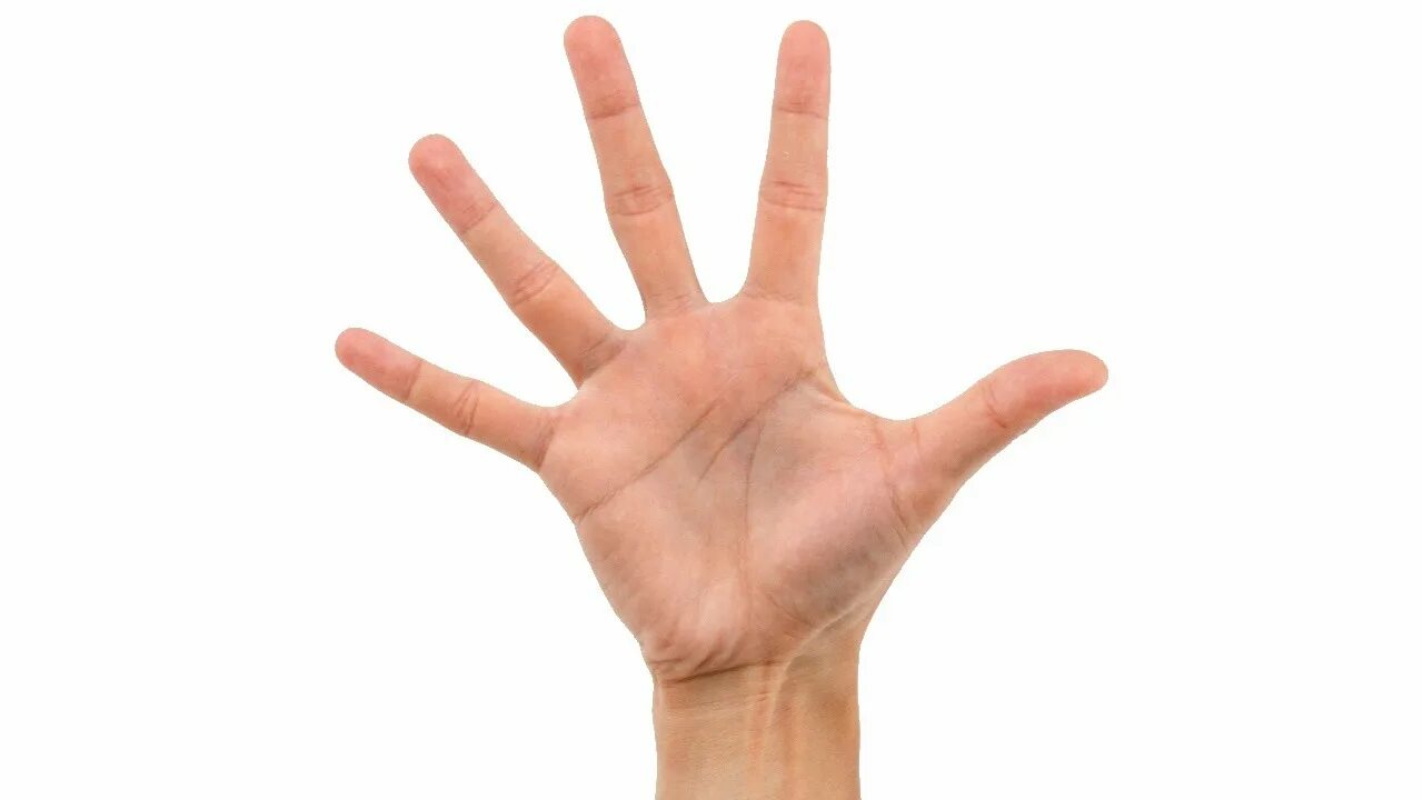 Рука 5 пальцев. Жесты пальцами для детей. Загадка про 5 пальцев на руке. Рефлексия 5 пальцев. Жест руки пять.