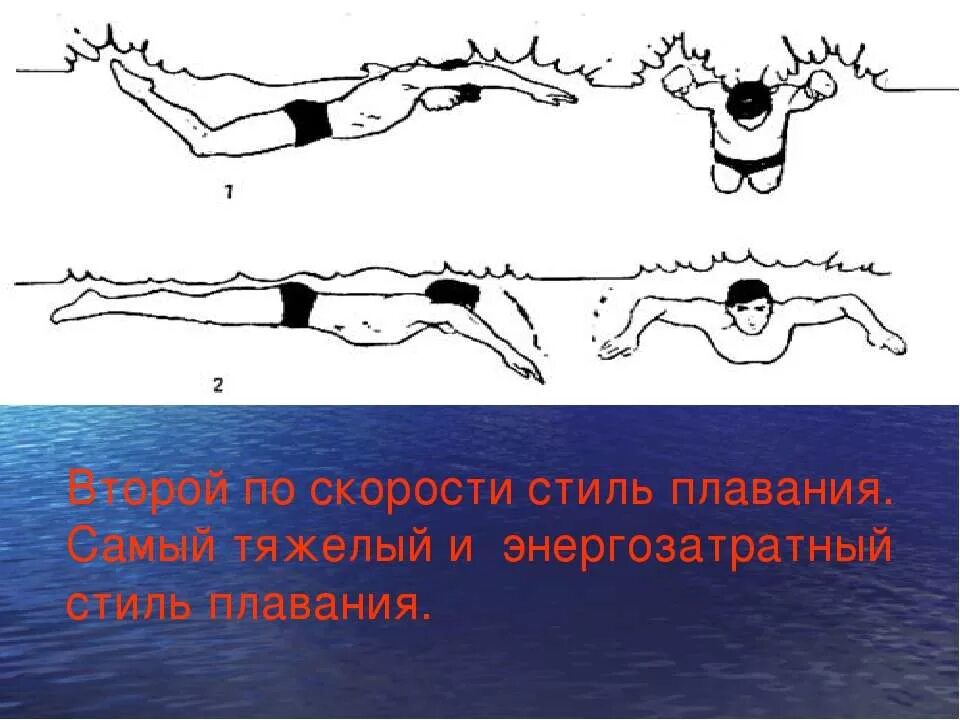 Кроль школа плавания. Самый тяжелый стиль плавания. Человек плавает в воде. Плыть саженками. Упражнения для пловцов на суше.