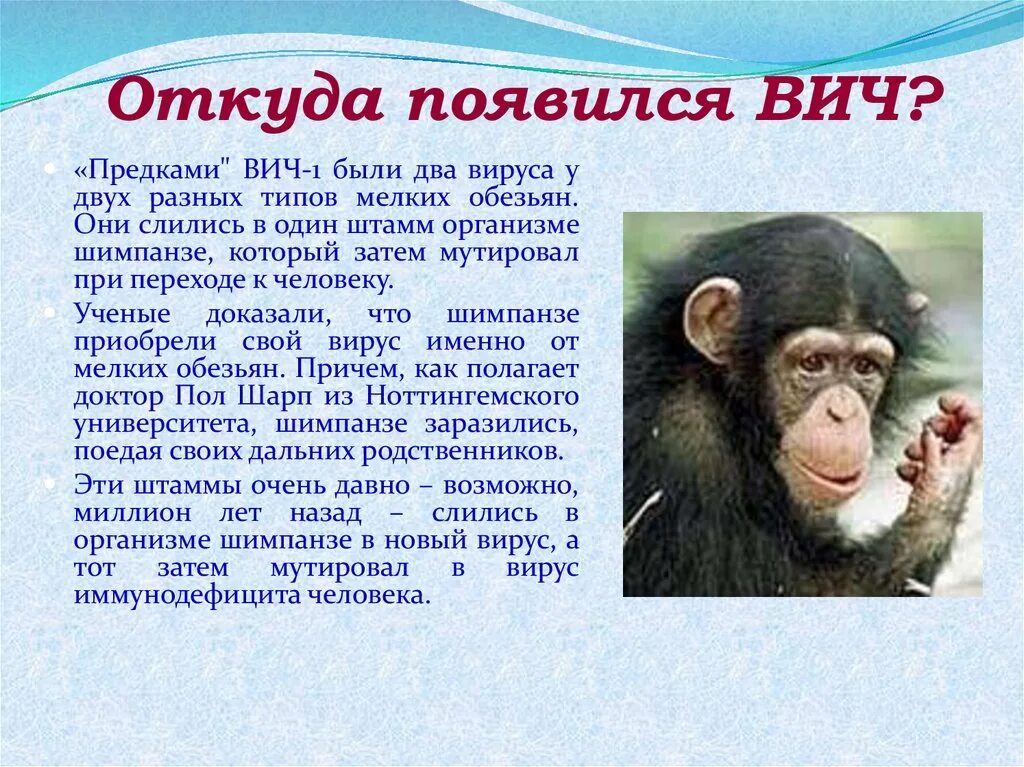 где она появится