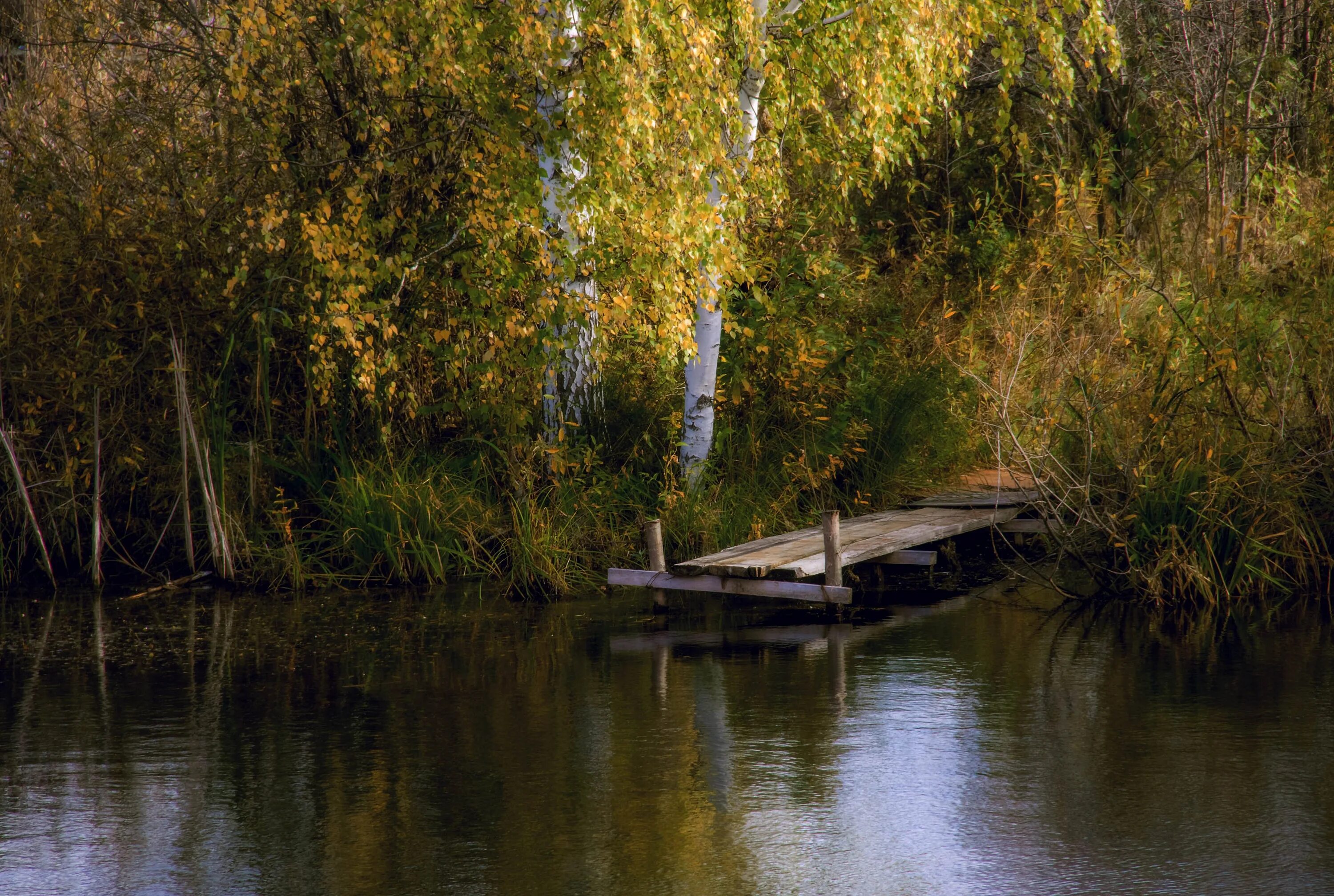 Взревев река несет на торжествующем. Детская фотосессия у воды. Спокойствие и умиротворение. Смешные речки. Туманное утро фет.