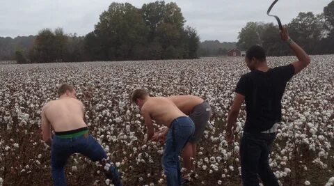 Reverse Slavery, also known as White Guys Picking Cotton, refers to a viral...