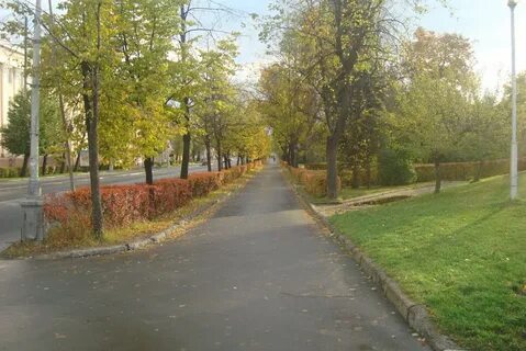 Аллеи петрозаводска