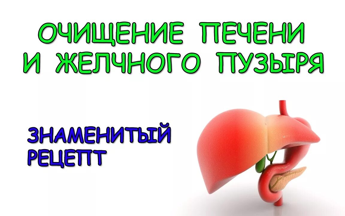 Очищение печени и желчного пузыря. Очистить желчный пузырь и печень. Чистка желчного и печени.