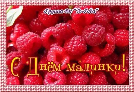 День малинки