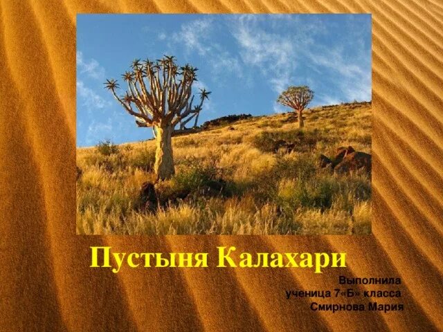 Женский род. Существительные со сложным определением рода. Трудные случаи определения рода имен существительных. Женский род. Калахари какой род.