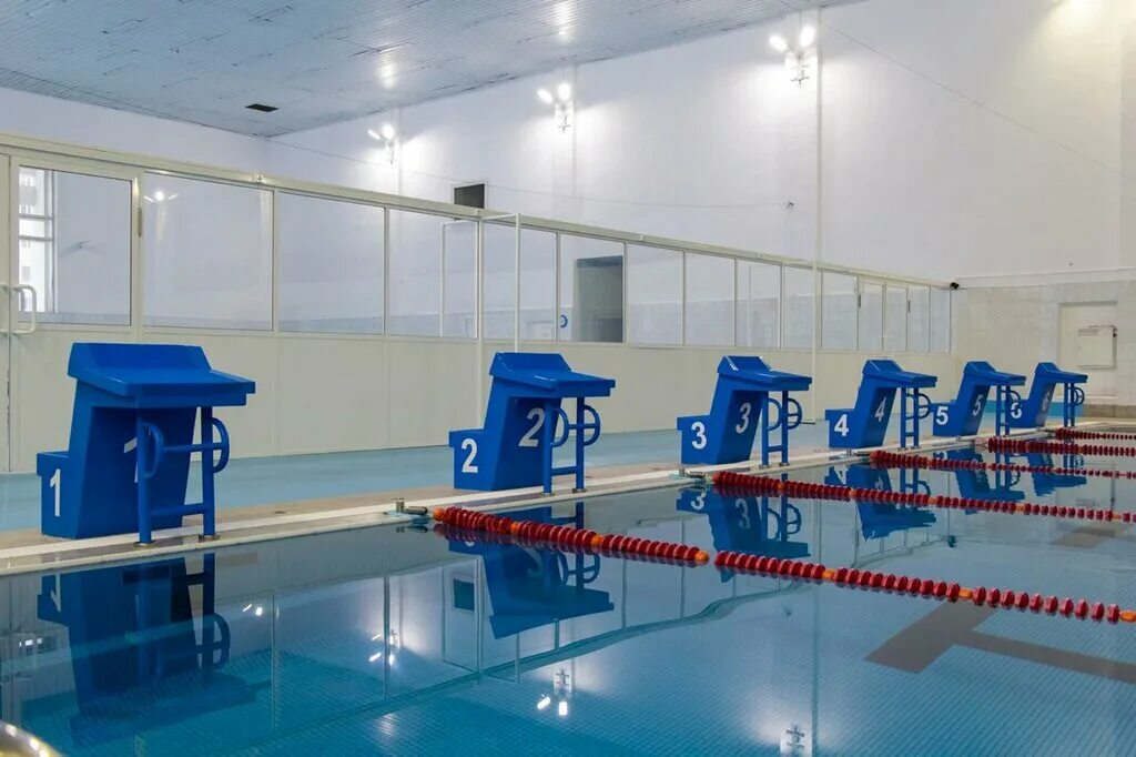 Бонанза хабаровск бассейн. Залесского 3/1 бассейн новосибирск. Фок иртыш уват. Лицей технополис новосибирск. Бассейн сгупс новосибирск.