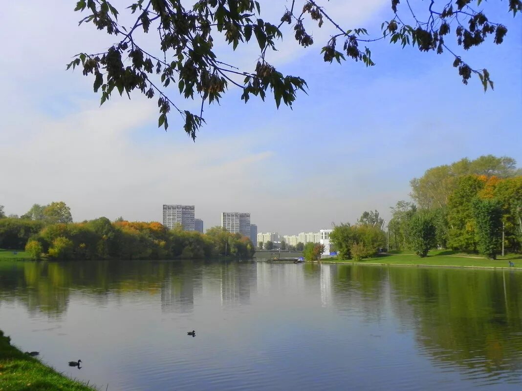 Люблино. Район Люблино. Москва Люблино город. Люблинский район Москвы.