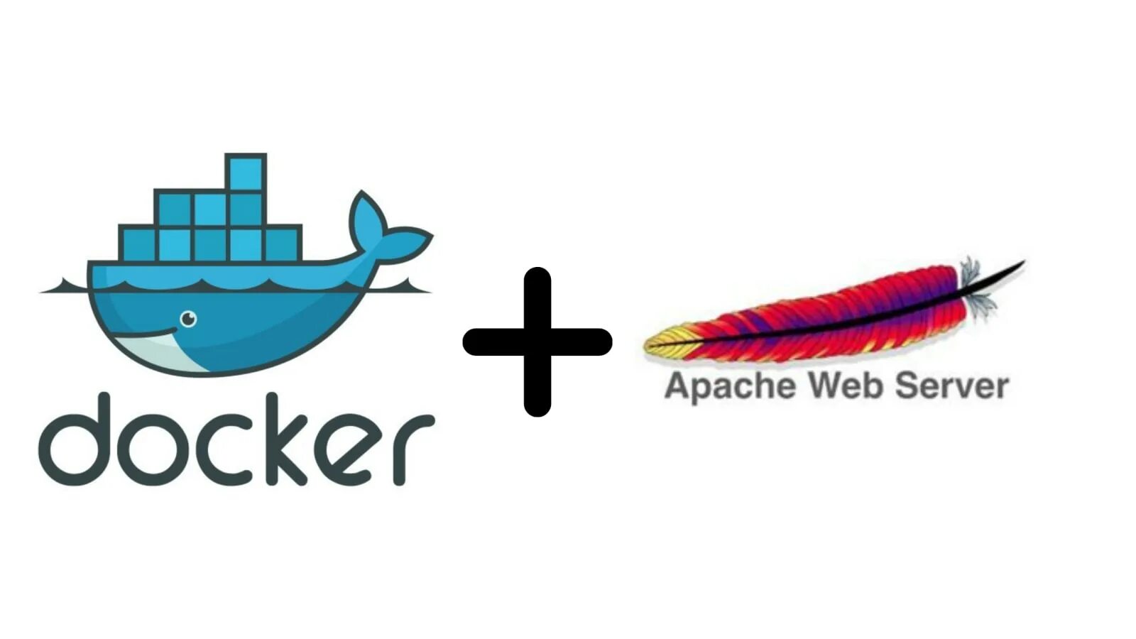 Docker web. Docker web