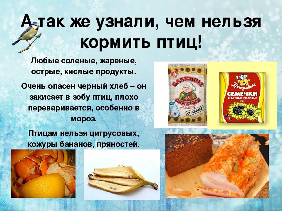 Что можно есть кормящей маме. Чем нельзя кормить пти. Почему кормящим нельзя рыбу. Какую рыбу нельзя есть сырой. Чем кормить уток.
